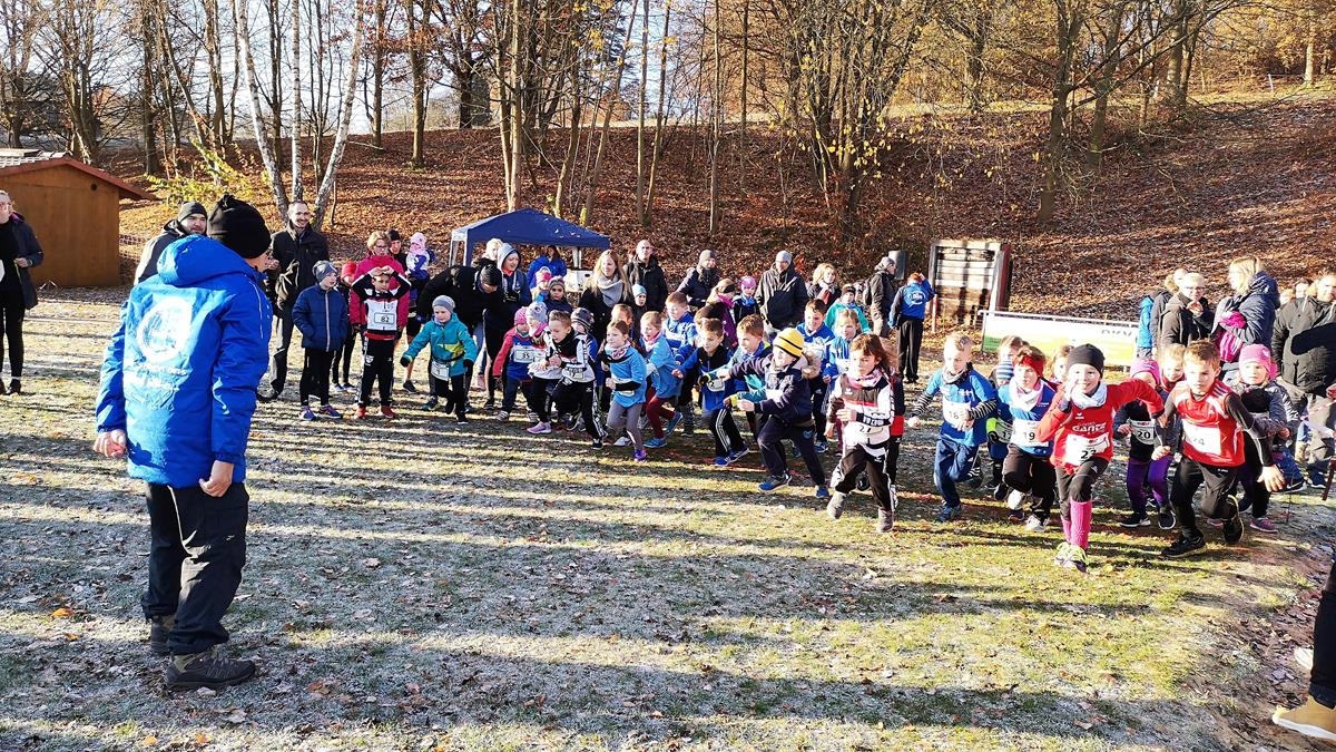 Crosslauf "WiLa Ippinghausen" - VfL am Start