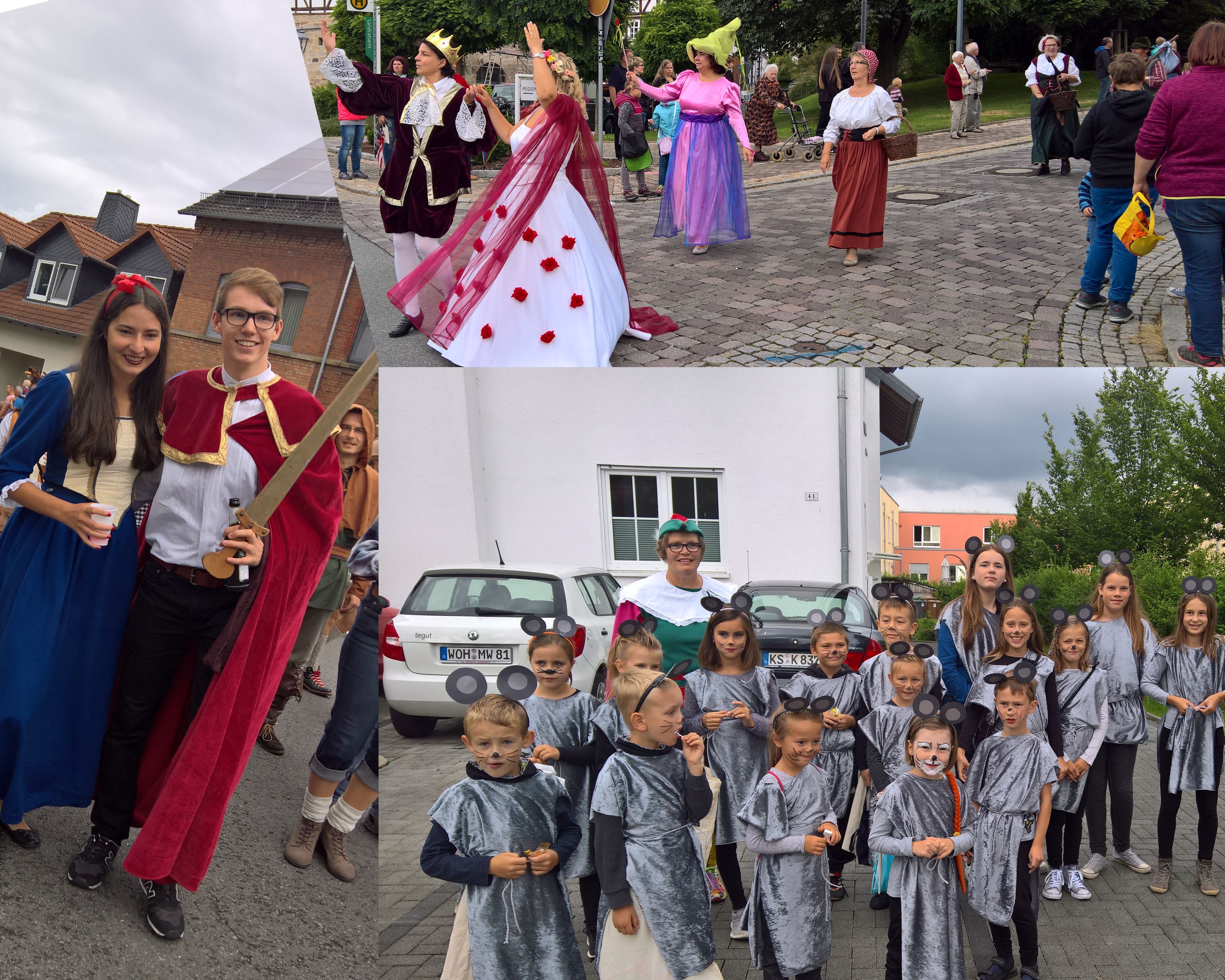 VfL mit 3 großen Gruppen beim Viehmarktsumzug